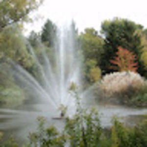 Meet your Posher, Leona